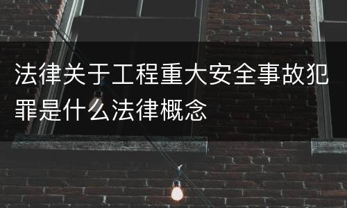 法律关于工程重大安全事故犯罪是什么法律概念