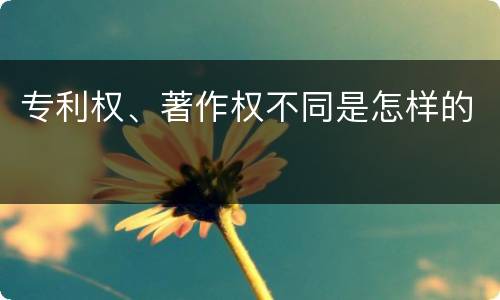 专利权、著作权不同是怎样的