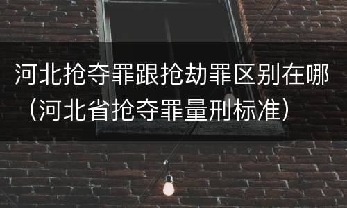 河北抢夺罪跟抢劫罪区别在哪（河北省抢夺罪量刑标准）