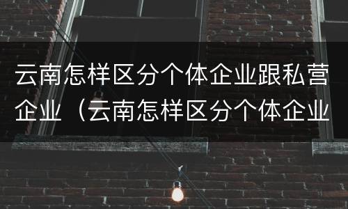 云南怎样区分个体企业跟私营企业（云南怎样区分个体企业跟私营企业的区别）
