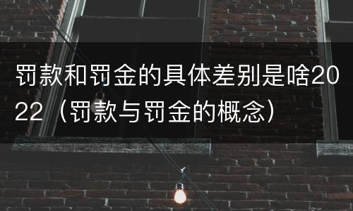 罚款和罚金的具体差别是啥2022（罚款与罚金的概念）