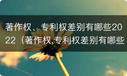 著作权、专利权差别有哪些2022（著作权,专利权差别有哪些2022规定）