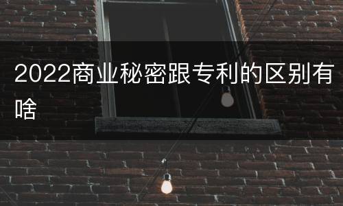 2022商业秘密跟专利的区别有啥