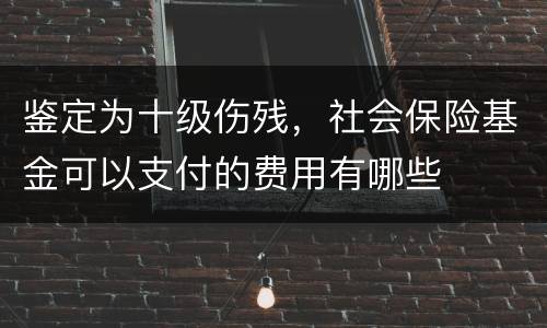 鉴定为十级伤残，社会保险基金可以支付的费用有哪些