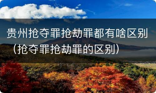 贵州抢夺罪抢劫罪都有啥区别（抢夺罪抢劫罪的区别）