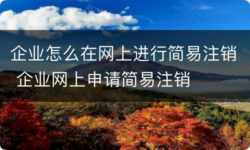 企业怎么在网上进行简易注销 企业网上申请简易注销