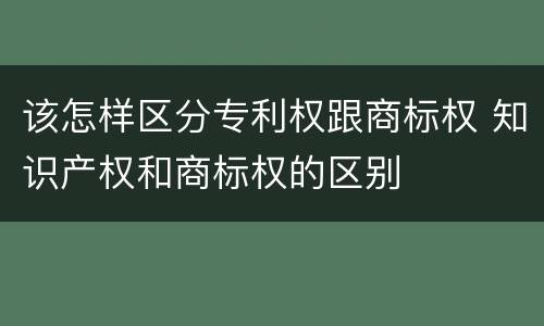 该怎样区分专利权跟商标权 知识产权和商标权的区别