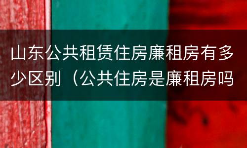 山东公共租赁住房廉租房有多少区别（公共住房是廉租房吗）