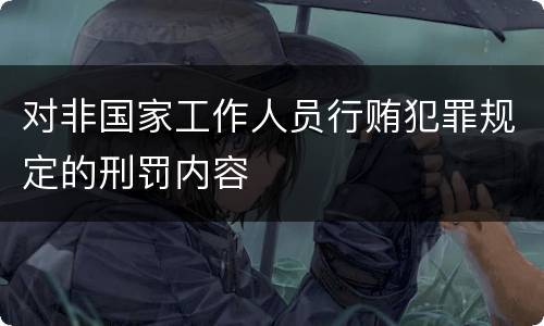 对非国家工作人员行贿犯罪规定的刑罚内容