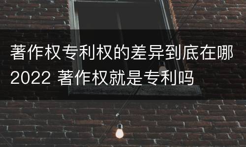 著作权专利权的差异到底在哪2022 著作权就是专利吗