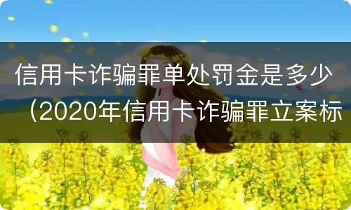 信用卡诈骗罪单处罚金是多少（2020年信用卡诈骗罪立案标准）