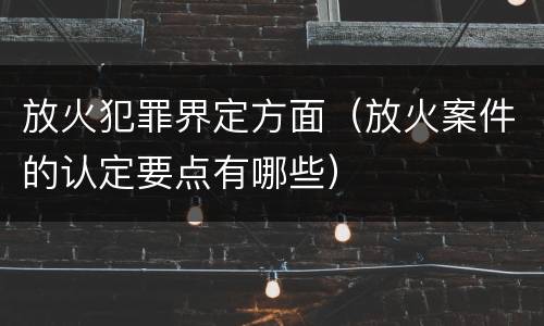 放火犯罪界定方面（放火案件的认定要点有哪些）