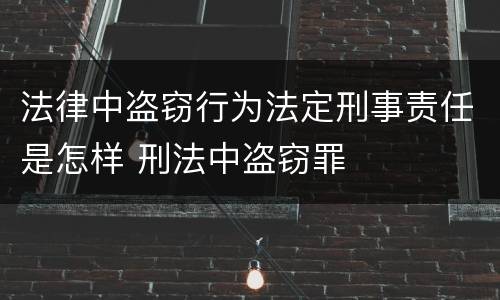 法律中盗窃行为法定刑事责任是怎样 刑法中盗窃罪