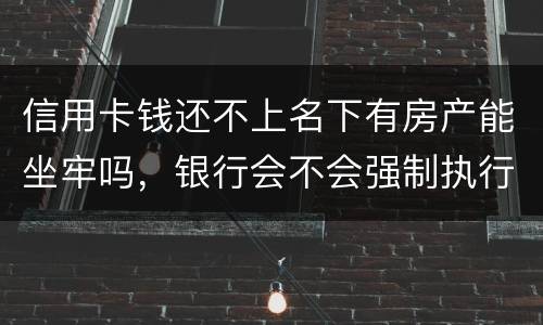 信用卡钱还不上名下有房产能坐牢吗，银行会不会强制执行