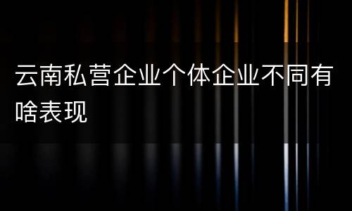 云南私营企业个体企业不同有啥表现