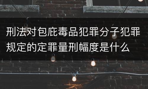 刑法对包庇毒品犯罪分子犯罪规定的定罪量刑幅度是什么