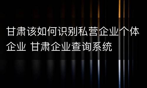 甘肃该如何识别私营企业个体企业 甘肃企业查询系统