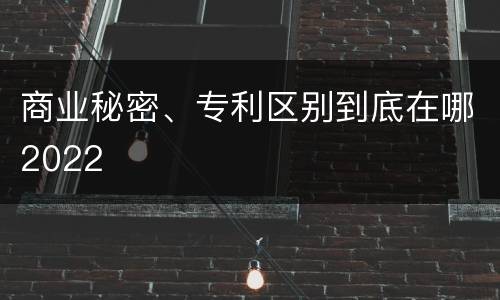 商业秘密、专利区别到底在哪2022