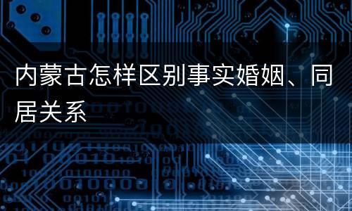 内蒙古怎样区别事实婚姻、同居关系