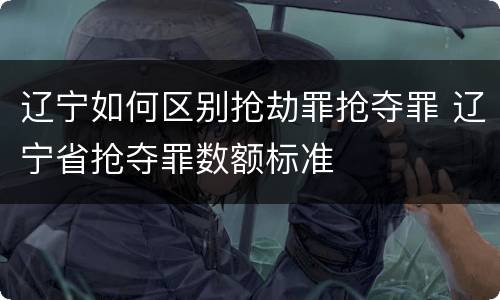 辽宁如何区别抢劫罪抢夺罪 辽宁省抢夺罪数额标准