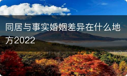 同居与事实婚姻差异在什么地方2022