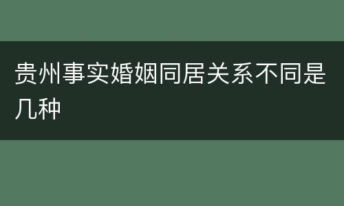 贵州事实婚姻同居关系不同是几种