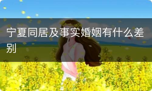 宁夏同居及事实婚姻有什么差别
