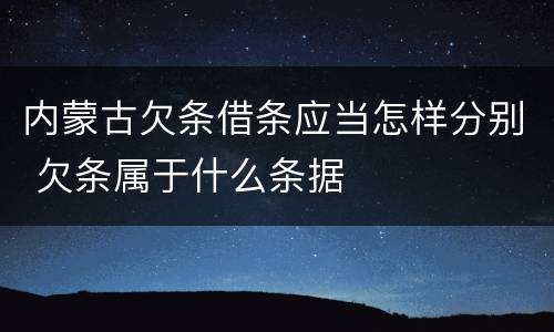 内蒙古欠条借条应当怎样分别 欠条属于什么条据