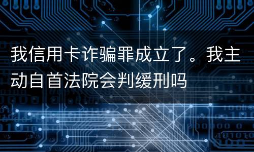 我信用卡诈骗罪成立了。我主动自首法院会判缓刑吗
