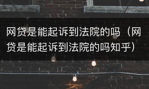 网贷是能起诉到法院的吗（网贷是能起诉到法院的吗知乎）