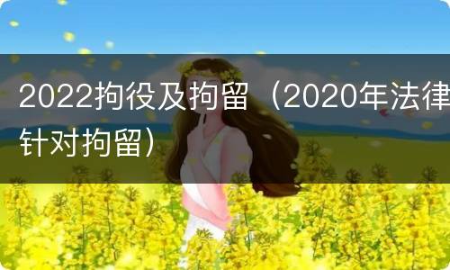 2022拘役及拘留（2020年法律针对拘留）