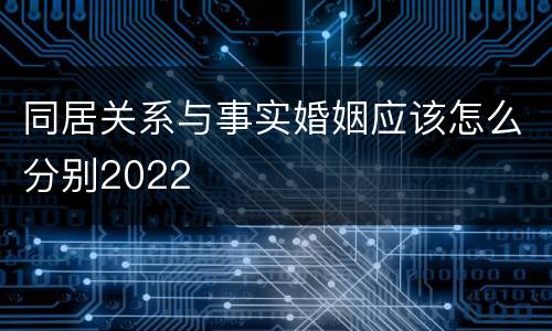 同居关系与事实婚姻应该怎么分别2022