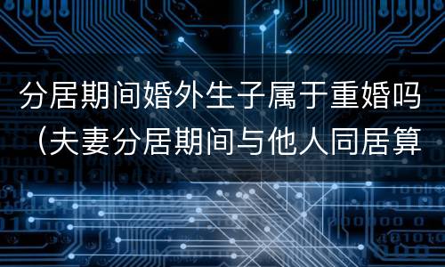 分居期间婚外生子属于重婚吗（夫妻分居期间与他人同居算重婚吗）
