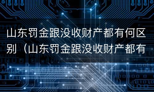 山东罚金跟没收财产都有何区别（山东罚金跟没收财产都有何区别呢）
