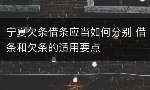 宁夏欠条借条应当如何分别 借条和欠条的适用要点