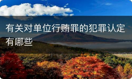 最高检对非国家工作人员行贿罪的相关解释规定有哪些内容