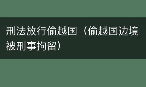 刑法放行偷越国（偷越国边境被刑事拘留）