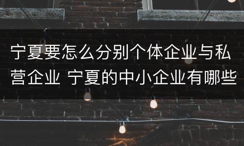 宁夏要怎么分别个体企业与私营企业 宁夏的中小企业有哪些