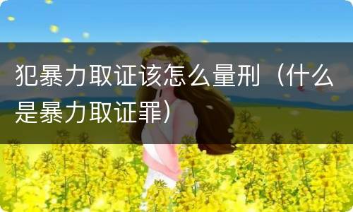 犯暴力取证该怎么量刑（什么是暴力取证罪）