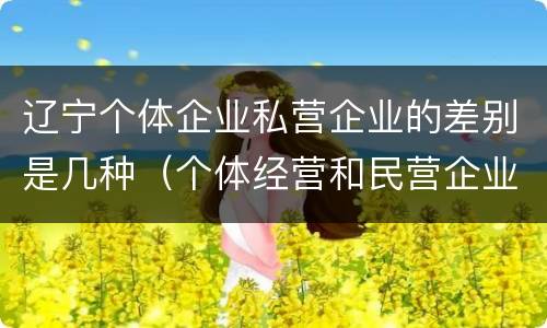 辽宁个体企业私营企业的差别是几种（个体经营和民营企业的区别）
