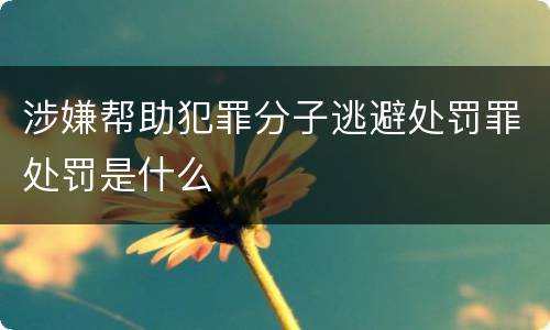 涉嫌帮助犯罪分子逃避处罚罪处罚是什么