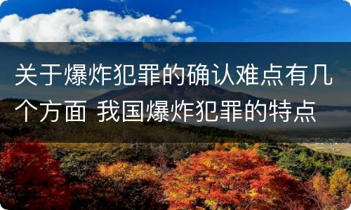 关于爆炸犯罪的确认难点有几个方面 我国爆炸犯罪的特点
