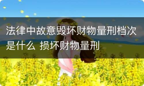 法律中故意毁坏财物量刑档次是什么 损坏财物量刑