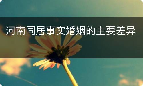 河南同居事实婚姻的主要差异