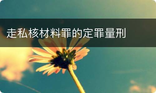 走私核材料罪的定罪量刑