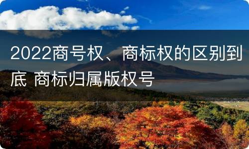 2022商号权、商标权的区别到底 商标归属版权号