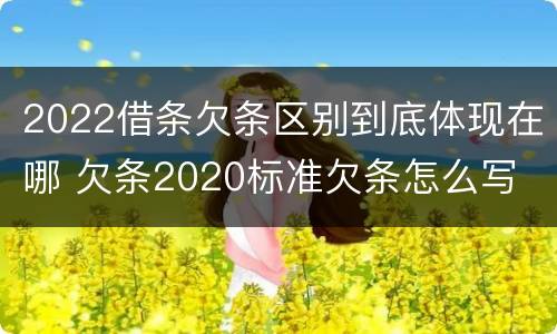 2022借条欠条区别到底体现在哪 欠条2020标准欠条怎么写