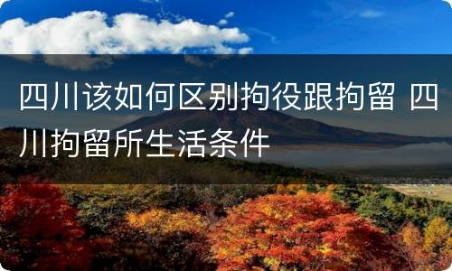 四川该如何区别拘役跟拘留 四川拘留所生活条件