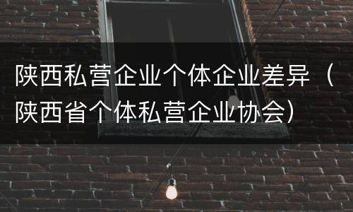 陕西私营企业个体企业差异（陕西省个体私营企业协会）