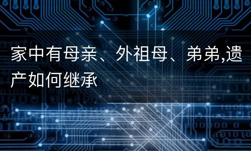 家中有母亲、外祖母、弟弟,遗产如何继承